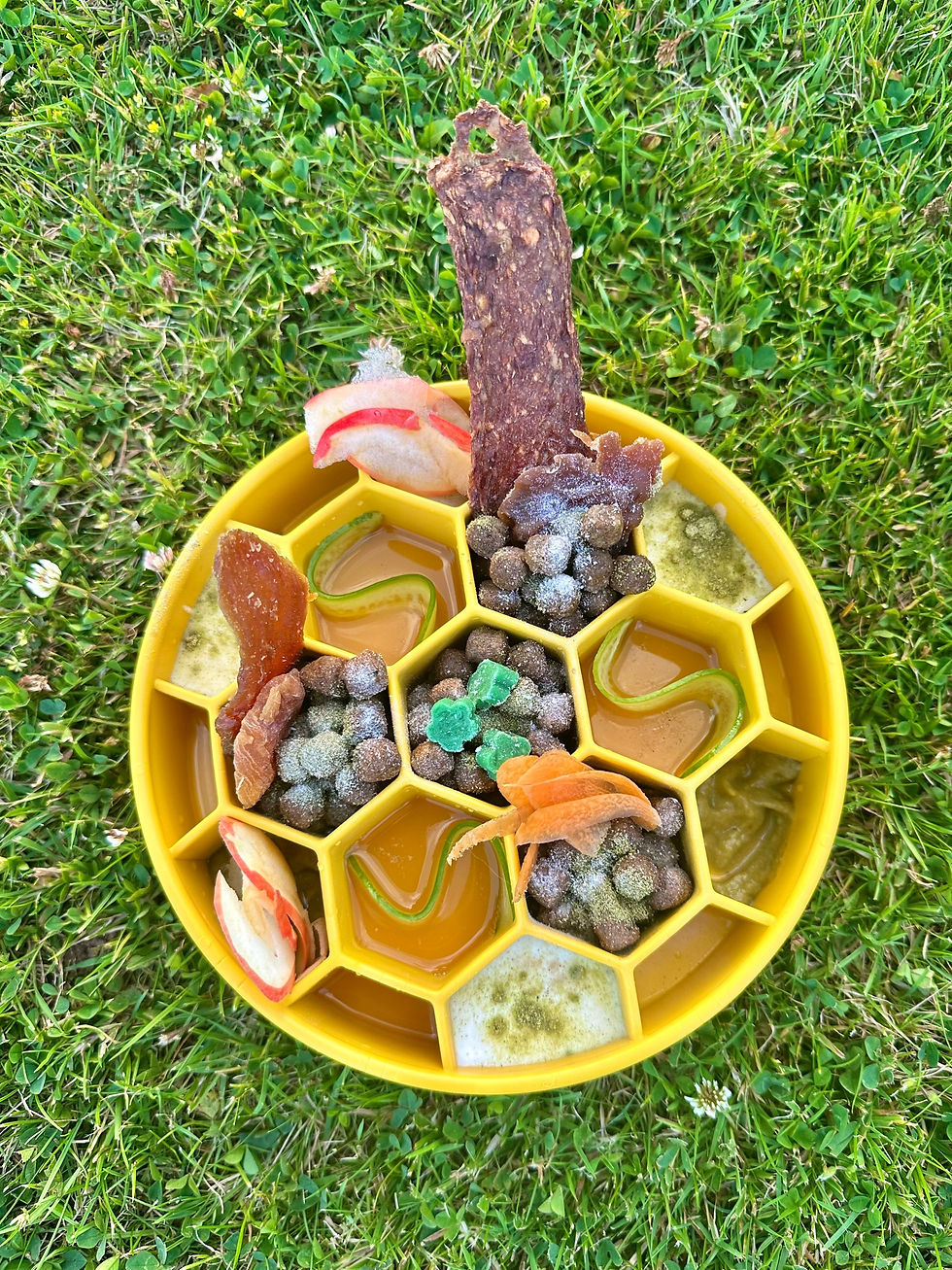 Thumbnail: Sodapup Honeycomb Design Ebowl Slow Feeder