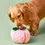 Thumbnail: The Foggy Apple Interactive Nosework Toy