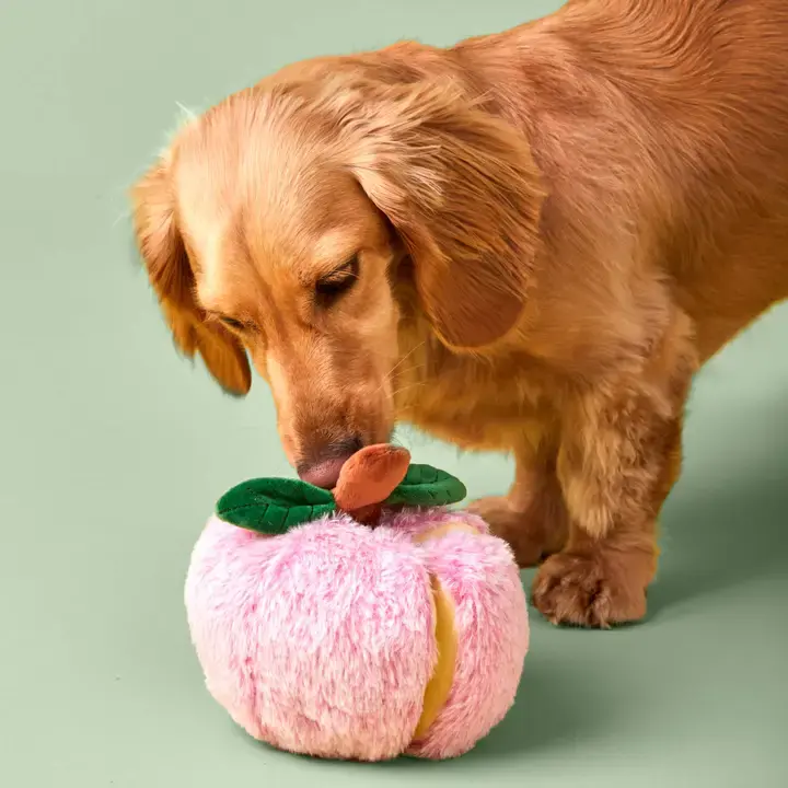 Thumbnail: The Foggy Dog Apple Interactive Nosework Toy