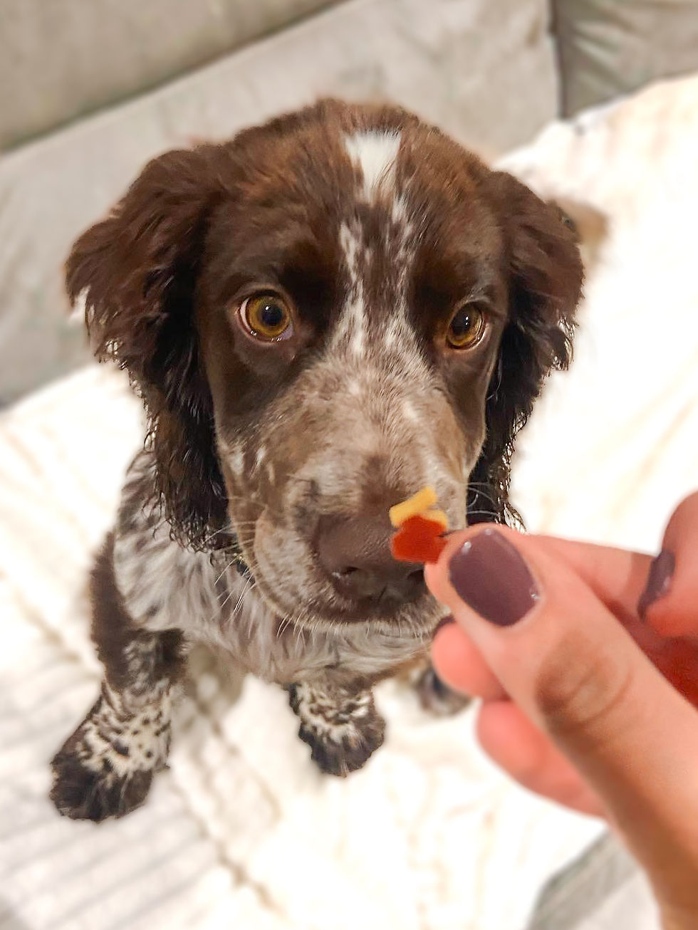 Thumbnail: W'ZIS? Tin Gift Box - Postman & Roast