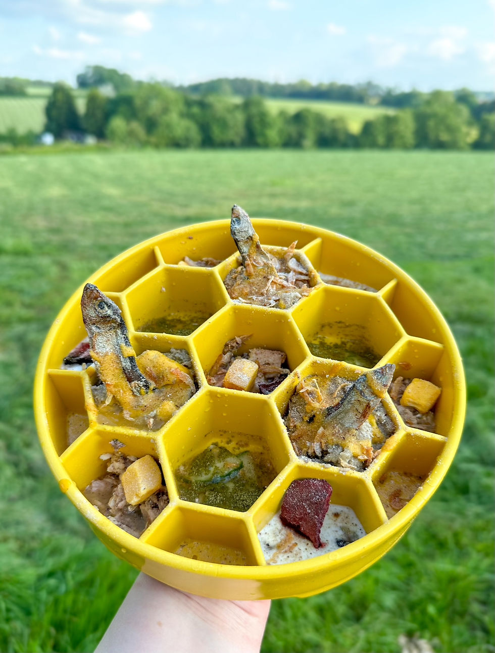 Thumbnail: Sodapup Honeycomb Design Ebowl Slow Feeder