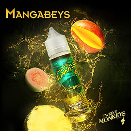 elfbar nachfüll pod läuft aus 12 Monkeys Vapor