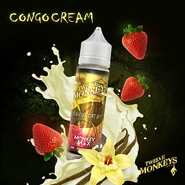 elfbar nachfüll pod läuft aus Twelve Monkeys Vape Juice Canada main image 0