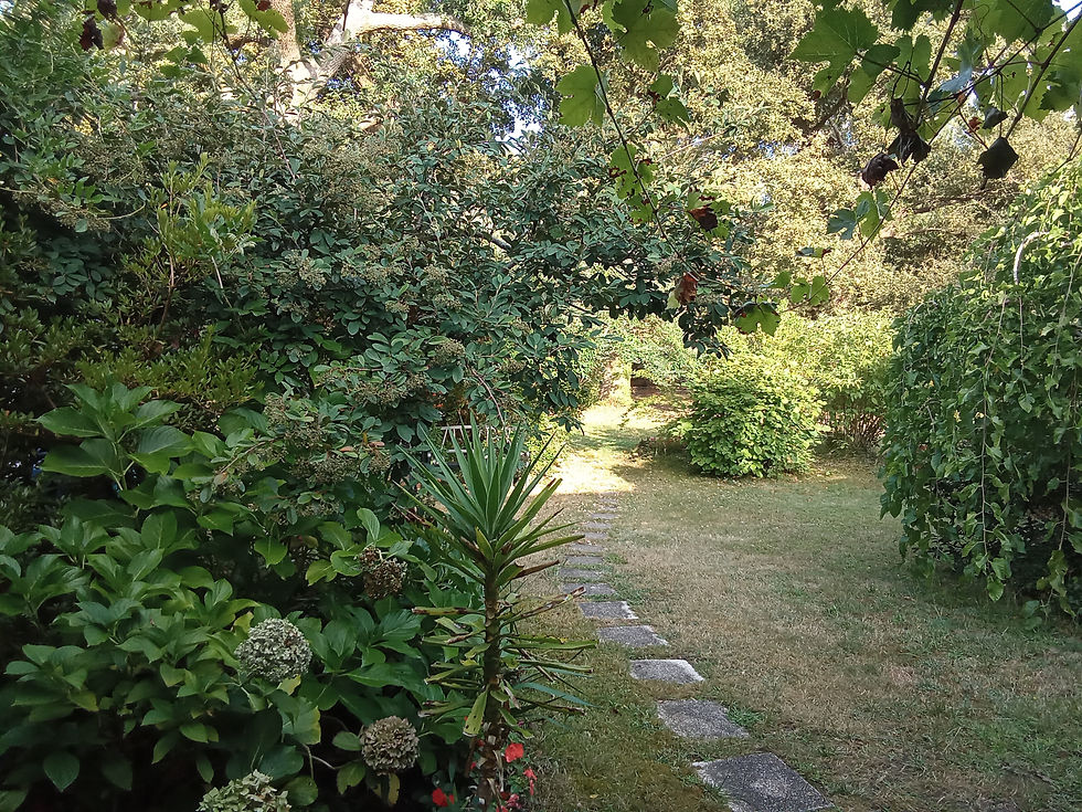 chemin