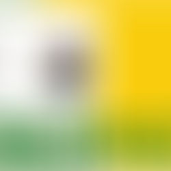 Eleição 2026: notícias falsas (fake news) e ataques agressivos