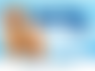 Vacinação antirrábica segue nesta semana