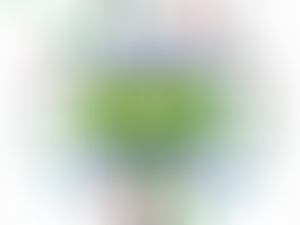 Brasil Soccer Cup tem equipes definidas e pode ampliar sedes