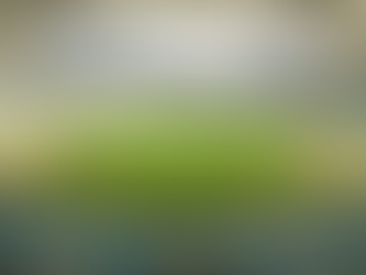 Flamengo deve ter estreia de reforço contra o Mirassol e prepara retornos diante do Inter