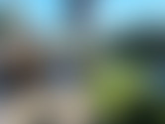 Luta contra o Aedes tem ações permanentes em Macaé