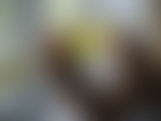 Bolsa Família deve ser turbinado e incluir jovens e crianças