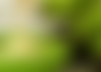 Farinha de banana verde Emagrece!