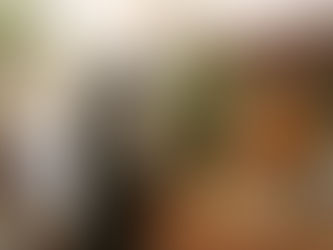 ‘13ª Primavera dos Museus’ prossegue com show de capoeira