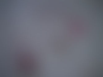 Jantar beneficente deve doar 70 mamografias: Ô Zé Gastronomia e Mirabolando Cakes divulgam cardápio