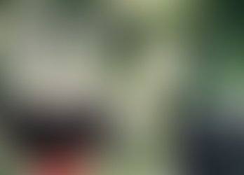 Consumo moderado de álcool nas refeições diminui a incidência de diabetes tipo 2, diz estudo