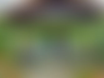 CRECHE VOVÓ ROSA PECLY RECEBE MELHORIAS DA GESTÃO PÚBLICA MUNICIPAL DE TRAJANO