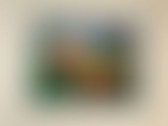 Projeto Natureza e Arte tem nova exposição no Parque dos Pássaros em Rio das Ostras