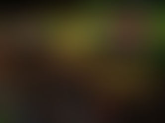 Contagem regressiva para o FriJazz & Blues 2019