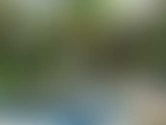 Prefeitura de Macaé realiza serviços de limpeza e manutenção na Veríssimo de Mello