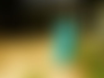 Projetos no museu em Macaé reiniciam na próxima semana