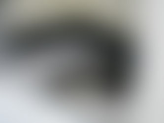 Pinguim é resgatado com vida em Rio das Ostras