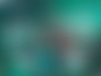 Kemilly Martins faz história de conquistas no kickboxing de Macaé