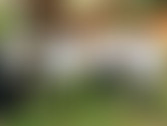 CCZ realiza em Macaé levantamento de espécies de mosquitos silvestres