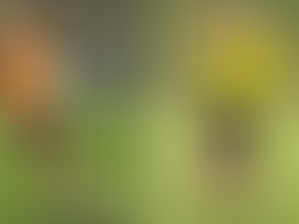 Corinthians x Flamengo: informações e prováveis escalações da final da Copa do Brasil