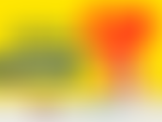 Semana do Doador de Sangue começa nesta segunda-feira