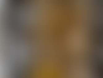 Proibido pelo Ibama, 'Óleo da Bôta' é comercializado em mercado cartão postal de Belém com 'jeitinho' de vendedores