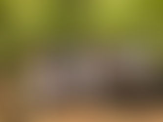 Alunos da rede pública de Macaé participam de vivência ambiental no Parque Atalaia