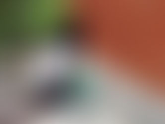 Combate ao Aedes aegypti continua em Macaé com visitas domiciliares