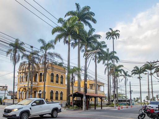 Macaé sedia o 8º Encontro Fluminense de Arborização Urbana em dezembro