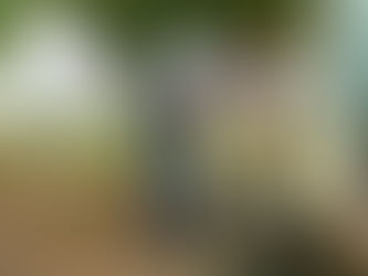 Ações em Macaé marcam Dia D de combate ao Aedes aegypti