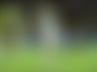 Vítor Pereira testa, mas Flamengo vive refém do quarteto ofensivol