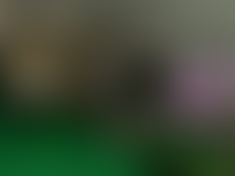 Macaé encerrou neste domingo programação da Caravana do Futebol Feminino Petrobras