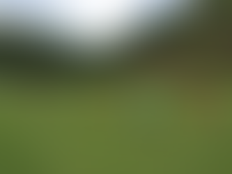 Com titulares, Botafogo vai ao Mané Garrincha encarar o Boavista