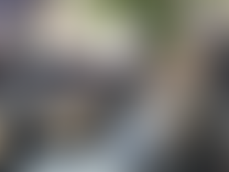 Agroeconomia prossegue com campanha de vacinação bovina