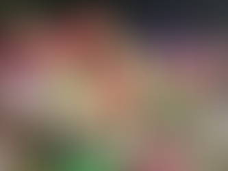 Vila do Noel: em Macaé novas atrações, cenários temáticos e ampla programação cultural