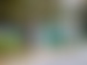 Macaé: Ambiente inicia paisagismo em diversos pontos do município