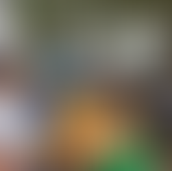 ‘8º Festival de Frutos do Mar’ animará o fim de semana em Macaé