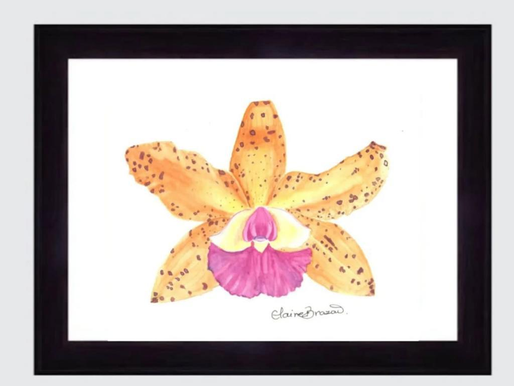 *Mostra Artesanal Expõe Obras de Oito Artesãos de Rio das Ostras e Espírito Santo Neste Sábado, 9*