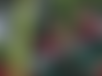 Campeão carioca, Fluminense visita o América-MG na abertura do Brasileirão