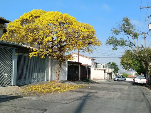Primavera deve ter temperaturas acima da média em parte do País e risco de baixa umidade