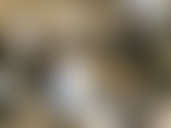 Parceria da Prefeitura de Macaé com UFRJ proporciona avaliação a atletas de Kickboxing