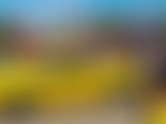 Encontro de Carros Antigos “OstraBugs” vai movimentar a Lagoa de Iriry