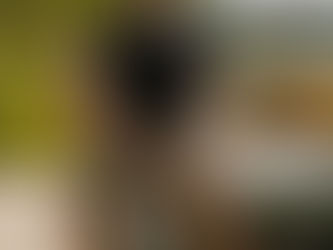 Shopping Plaza Rio das Ostras: Últimos dias de janeiro tem apresentações culturais gratuitas para toda família