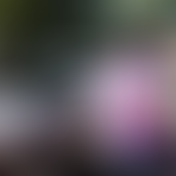 Macaé alcança 16 meses sem feminicídio e amplia ações de proteção, prevenção e autonomia para mulheres