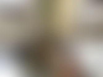 CCZ em Macaé atua no combate e controle ao Aedes