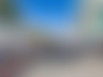 'Pró-Bem Caminha com os PETs' marca encontro pioneiro entre cães e tutores apaixonados