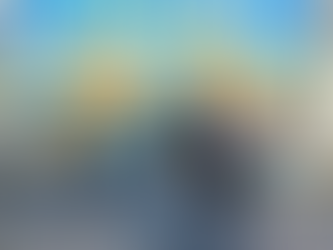 Feira de Adoção de Animais foi realizada no Shopping Plaza Macaé